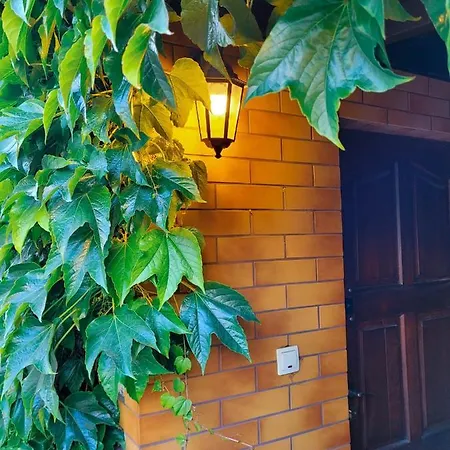 Orlowski Bluszcz Apartamento *
